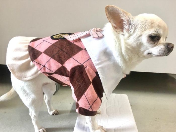 Dog Sweater Dress - School Girl