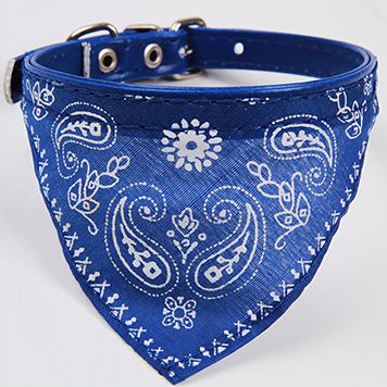 blue bandana dog collar